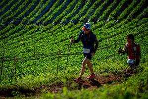 BIB: 
                            <button type="button" onclick="openModal(19160879)" class="btn btn-primary btn-sm float-right btn-popup" data-toggle="modal" data-target=".modal-high-quality">
                        <i class="fas fa-shopping-cart"></i> Add to Cart
                    </button>
                                            <button type="button" onclick="isThisMe(19160879, true)" class="btn btn-success btn-sm float-right btn-popup btn-isme hidden" data-toggle="tooltip" data-placement="bottom" title="นี่คือรูปของคุณใช่ไหม คลิกที่นี่เพื่อเอาเข้าอัลบั้ม">
                        <i class="fas fa-plus"></i> Add to album
                    </button>
                    <button type="button" onclick="isThisMe(19160879, false)" class="btn btn-warning btn-sm float-right btn-popup btn-isnotme hidden">
                        <i class="fas fa-ban"></i> Remove from album
                    </button>